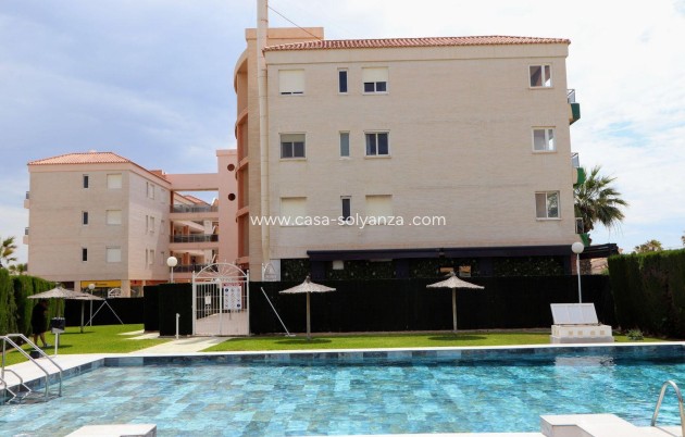 Revente - Appartement - Torrevieja - Playa Flamenca