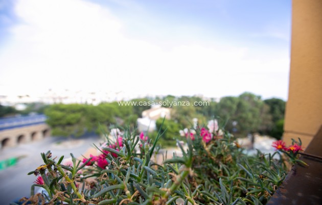 Revente - Appartement - La Zenia - Beach