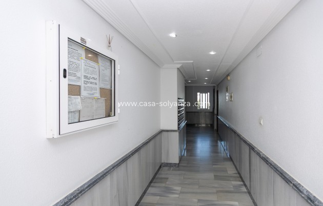 Revente - Appartement - La Zenia - Beach