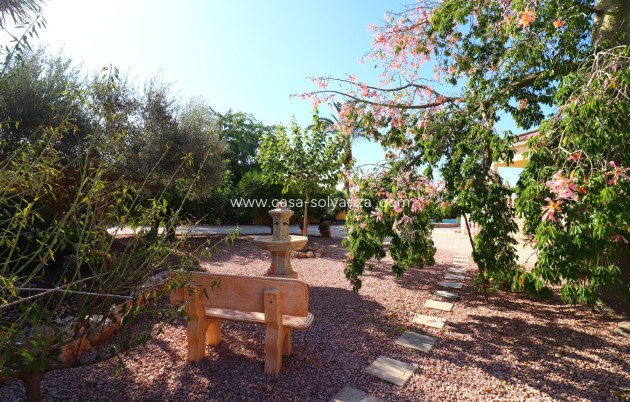 Revente - Country Property/Finca - Orihuela - La Campaneta