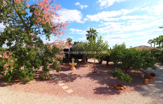 Revente - Country Property/Finca - Orihuela - La Campaneta