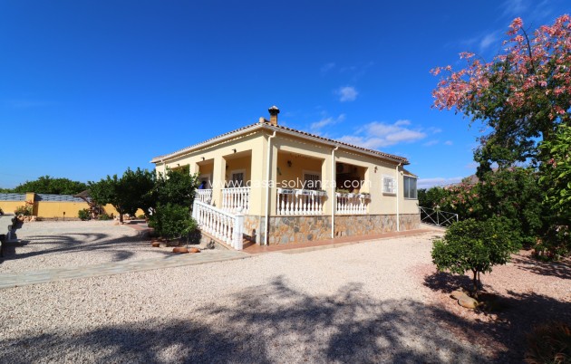 Revente - Country Property/Finca - Orihuela - La Campaneta
