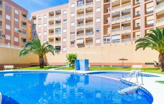 Revente - Appartement - Torrevieja - PARQUE DE LAS NACIONES