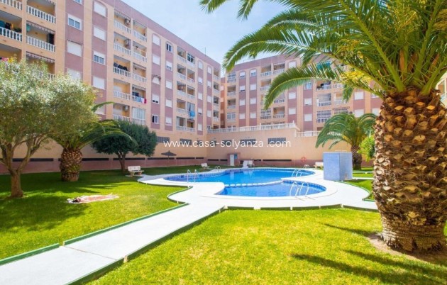 Revente - Appartement - Torrevieja - PARQUE DE LAS NACIONES