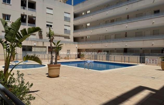Revente - Appartement - Almoradí - Inland