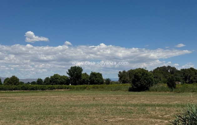 Revente - Appartement - Almoradí - Inland