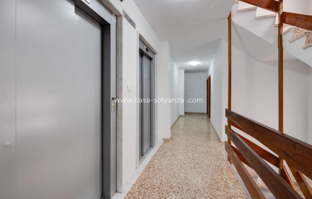 Revente - Appartement - Torrevieja - Playa De Los Naufragos