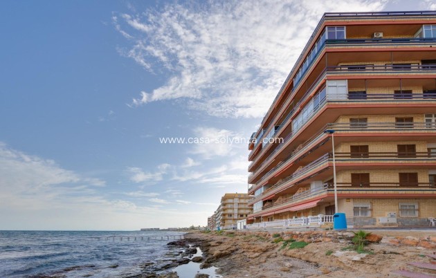 Revente - Appartement - Torrevieja - Playa De Los Naufragos