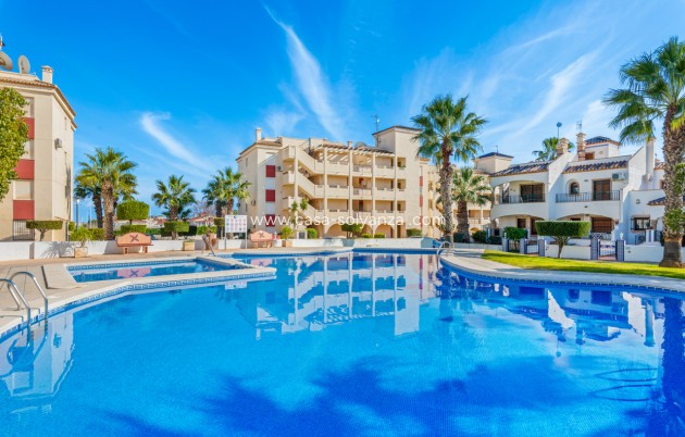 Revente - Appartement - Playa Flamenca - Costa Blanca