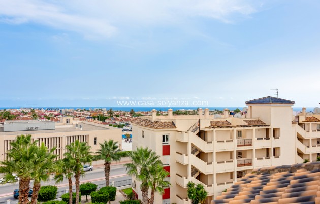 Revente - Appartement - Playa Flamenca - Costa Blanca
