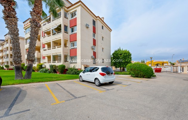 Revente - Appartement - Playa Flamenca - Costa Blanca