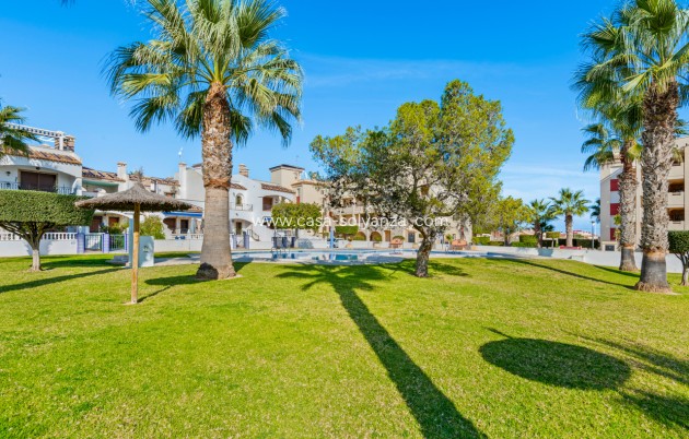 Revente - Appartement - Playa Flamenca - Costa Blanca