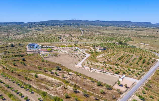 Wiederverkauf - Villa - Torremendo