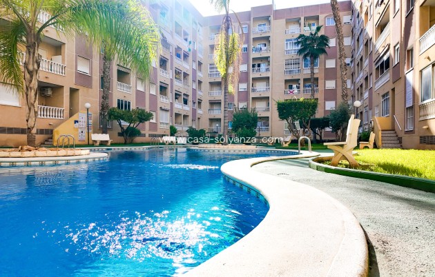 Wiederverkauf - Wohnung - Torrevieja - Costa Blanca