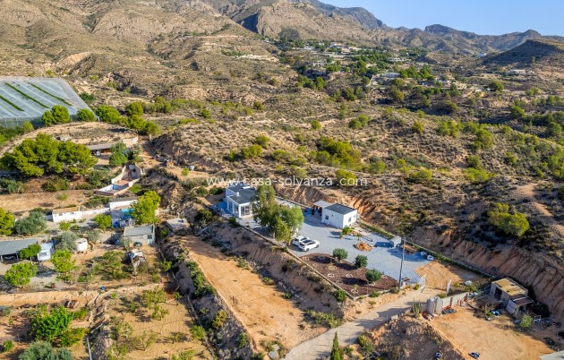 Revente - Country Property/Finca - Crevillente - Inland