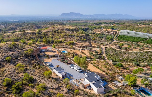 Revente - Country Property/Finca - Crevillente - Inland