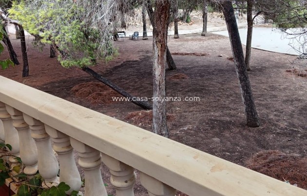 Wiederverkauf - Stadthaus - Torrevieja - Costa Blanca