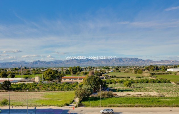 Revente - Appartement - Almoradí - Parque De La U