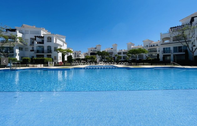 Wiederverkauf - Wohnung - La Torre Golf Resort - Inland