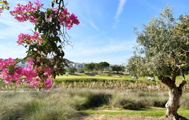 Revente - Appartement - Hacienda Riquelme Golf Resort - Inland