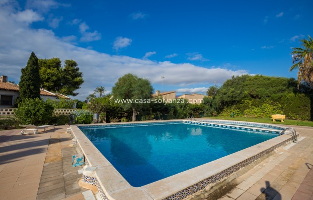 Revente - Appartement - Punta Prima - Beachside