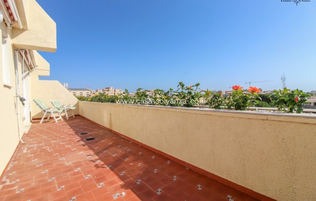 Revente - Appartement - Punta Prima - Beachside