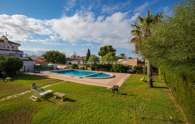 Revente - Appartement - Punta Prima - Beachside