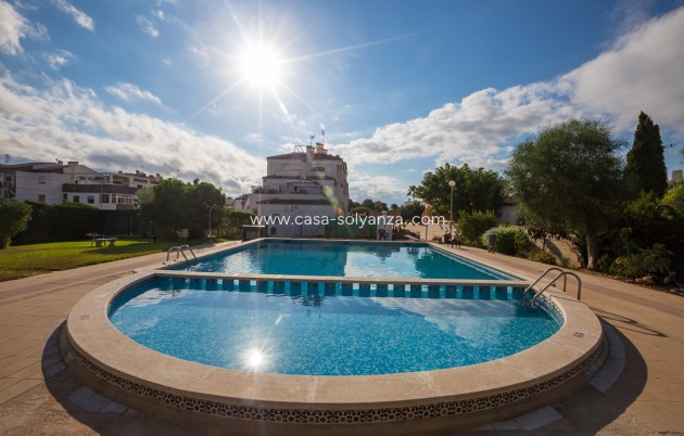 Revente - Appartement - Punta Prima - Beachside