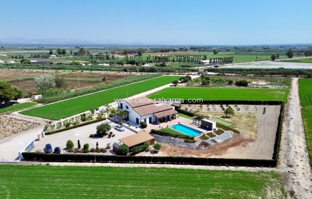 Revente - Villa - Dolores - Comunidad Valenciana