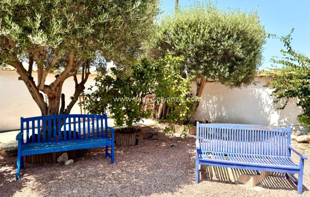 Revente - Villa - Dolores - Comunidad Valenciana