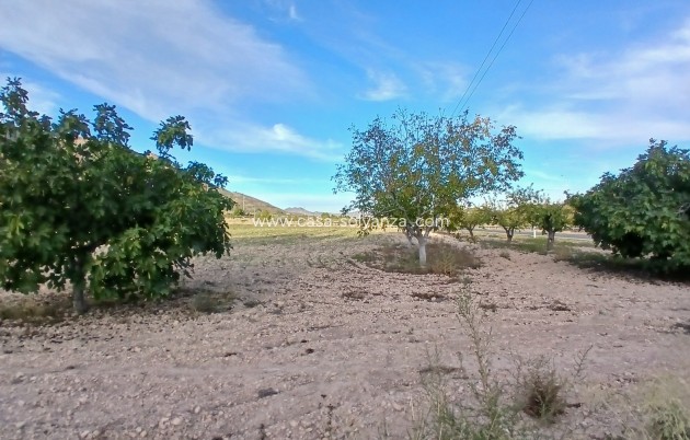 Revente - Country Property/Finca - Yecla - Inland