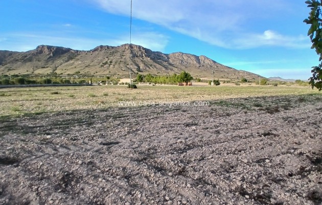 Revente - Country Property/Finca - Yecla - Inland