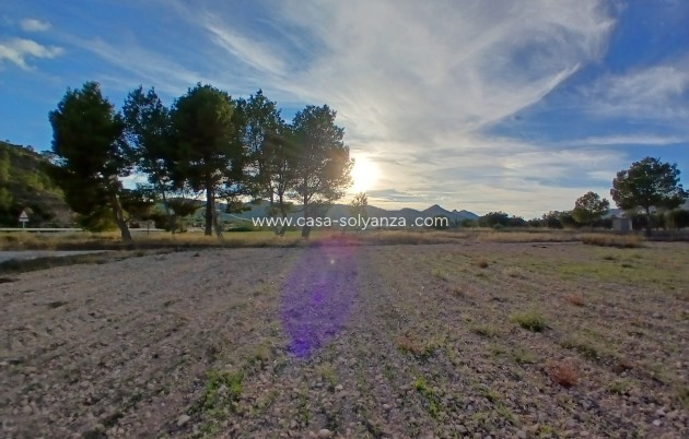 Revente - Country Property/Finca - Yecla - Inland