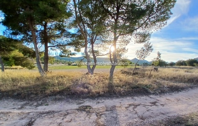 Revente - Country Property/Finca - Yecla - Inland
