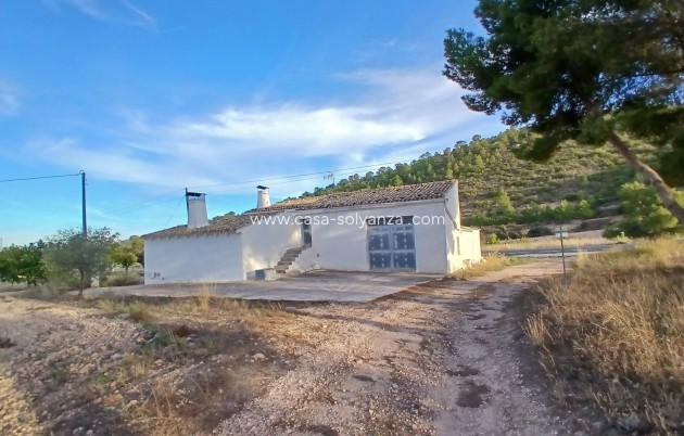 Revente - Country Property/Finca - Yecla - Inland
