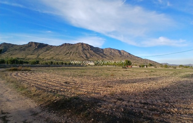 Revente - Country Property/Finca - Yecla - Inland