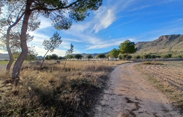 Revente - Country Property/Finca - Yecla - Inland