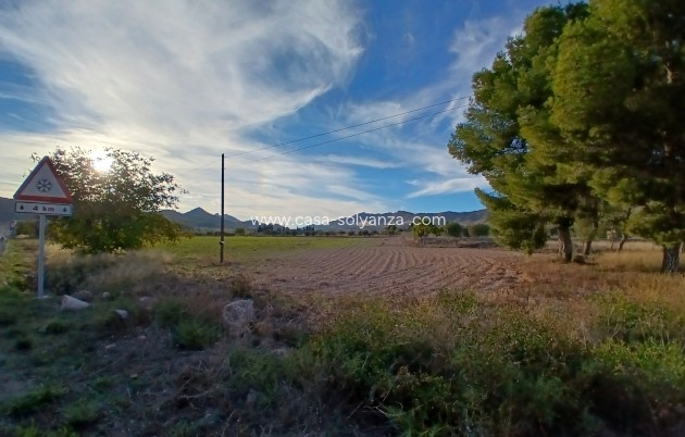 Revente - Country Property/Finca - Yecla - Inland
