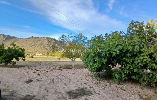 Revente - Country Property/Finca - Yecla - Inland