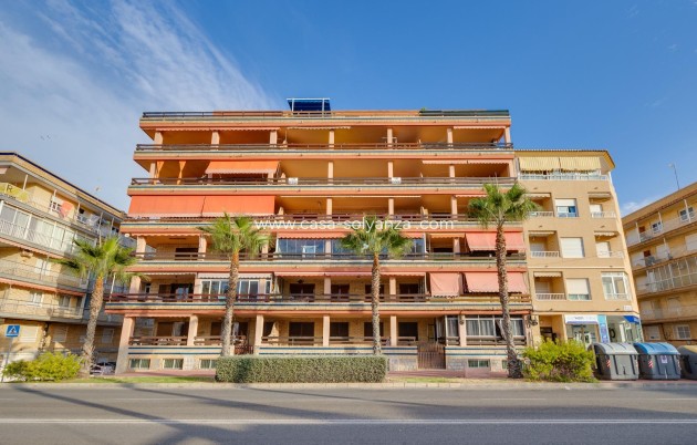 Reventa - Apartamento / piso - Torrevieja - Playa De Los Naufragos