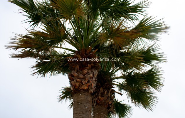 Wiederverkauf - Independent villa - Cartagena - La Manga del Mar Menor