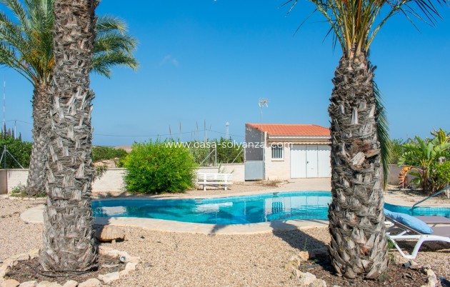 Revente - Independent villa - Guardamar del Segura - El Raso