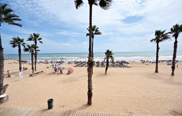 Wiederverkauf - Wohnung - Torrevieja - La Mata