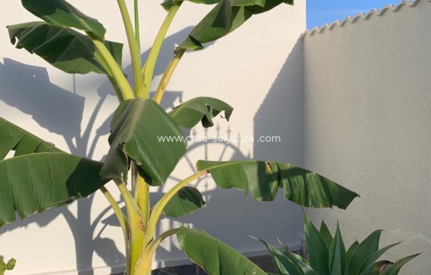 Revente - Independent villa - Ciudad Quesada - Rojales - Ciudad Quesada