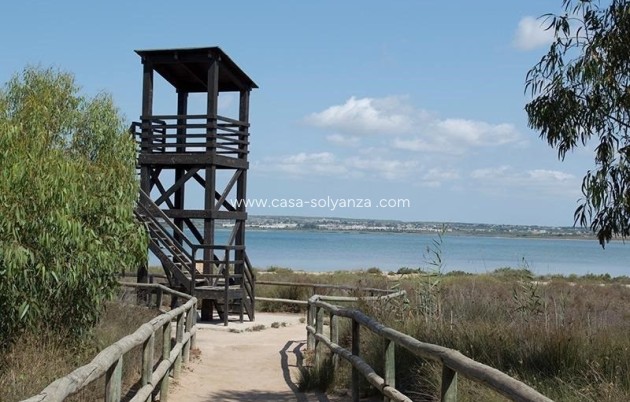 Revente - Appartement - La Mata - La Mata - Town