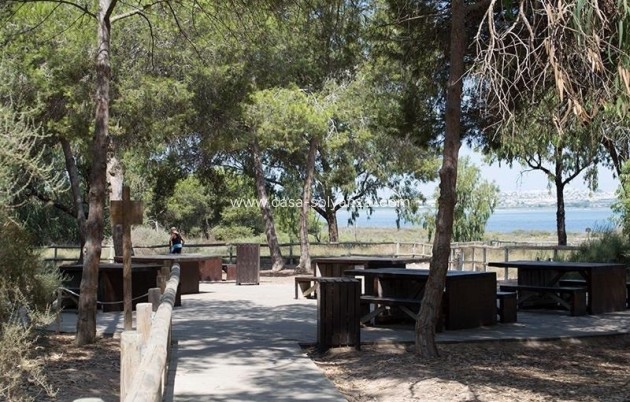 Revente - Appartement - La Mata - La Mata - Town