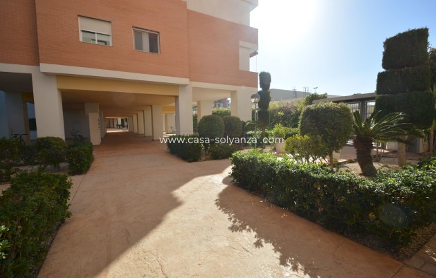 Herverkoop - Appartement / flat - Guardamar del Segura - Costa Blanca