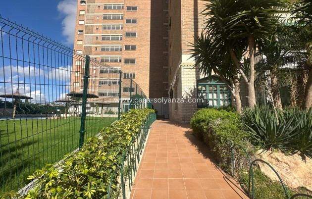 Resale - Apartment / flat - Orihuela Costa - Campoamor