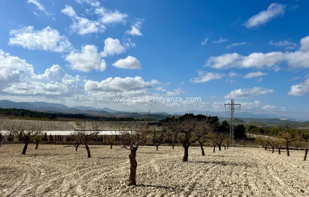 Revente - Land - Bullas - Inland