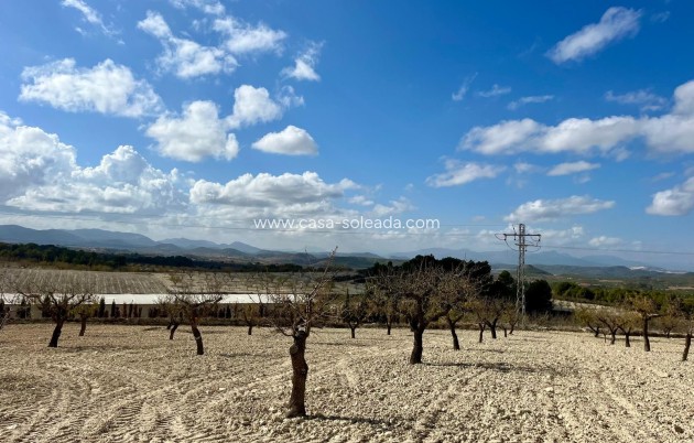 Revente - Land - Bullas - Inland